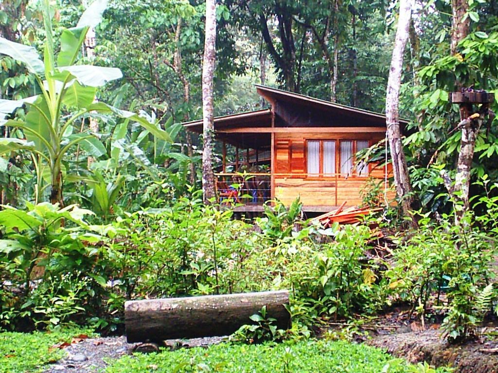 El Tucan Jungle Lodge Puerto Viejo de Talamanca Kültér fotó