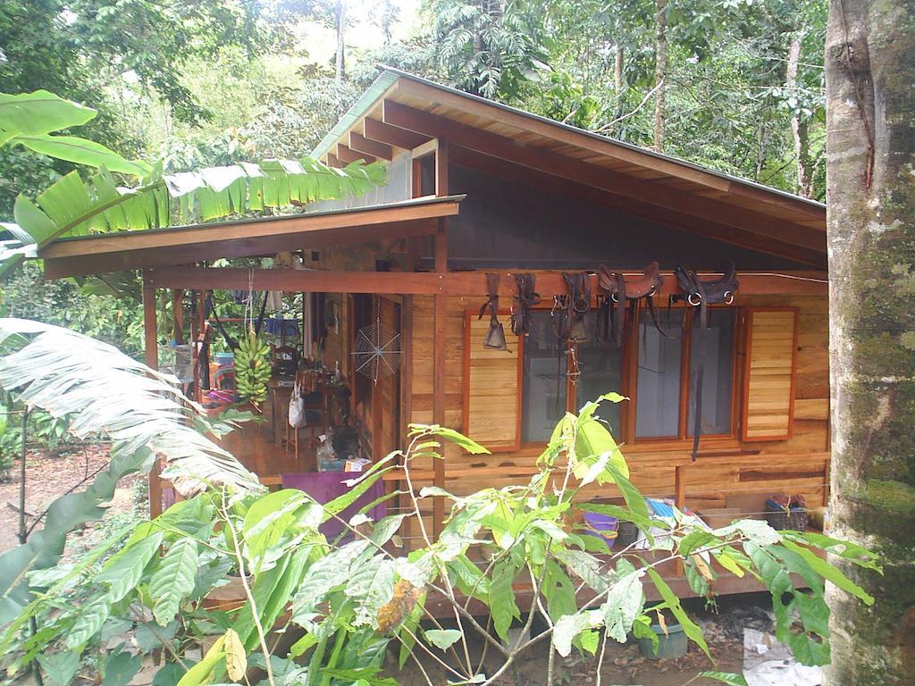 El Tucan Jungle Lodge Puerto Viejo de Talamanca Szoba fotó