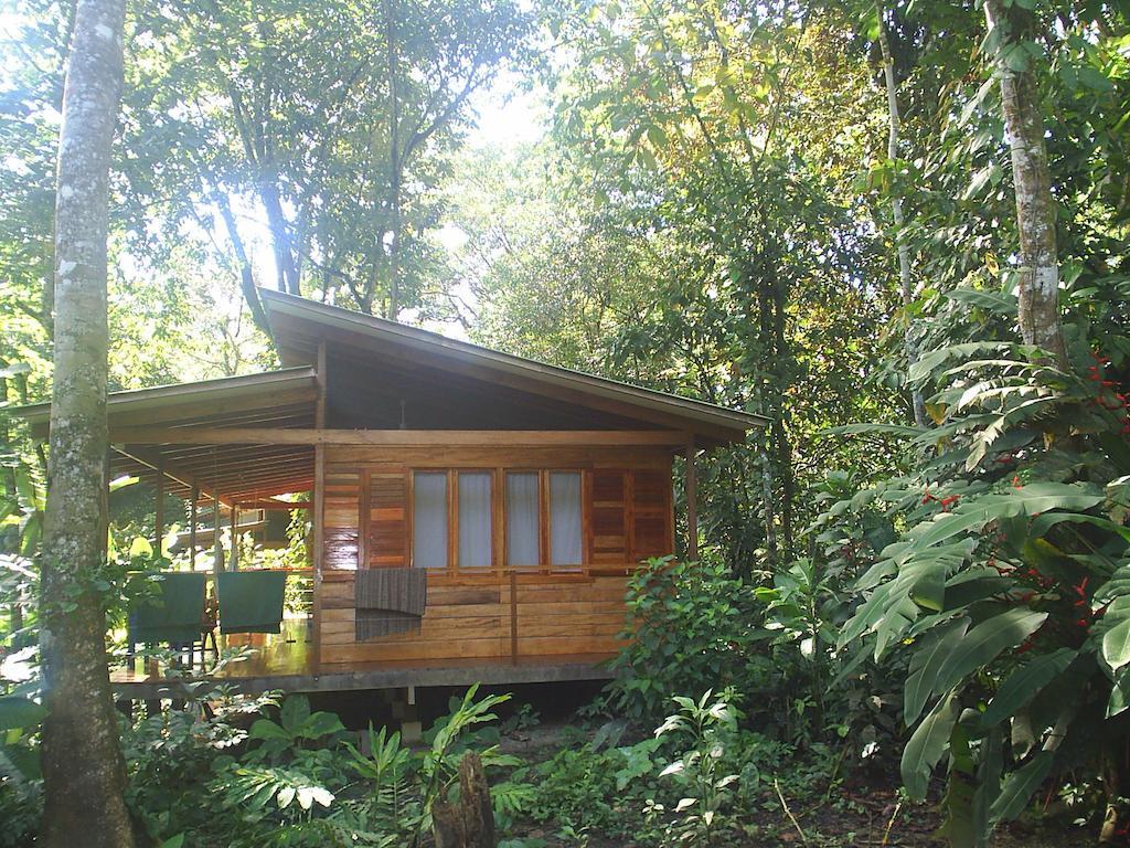El Tucan Jungle Lodge Puerto Viejo de Talamanca Szoba fotó