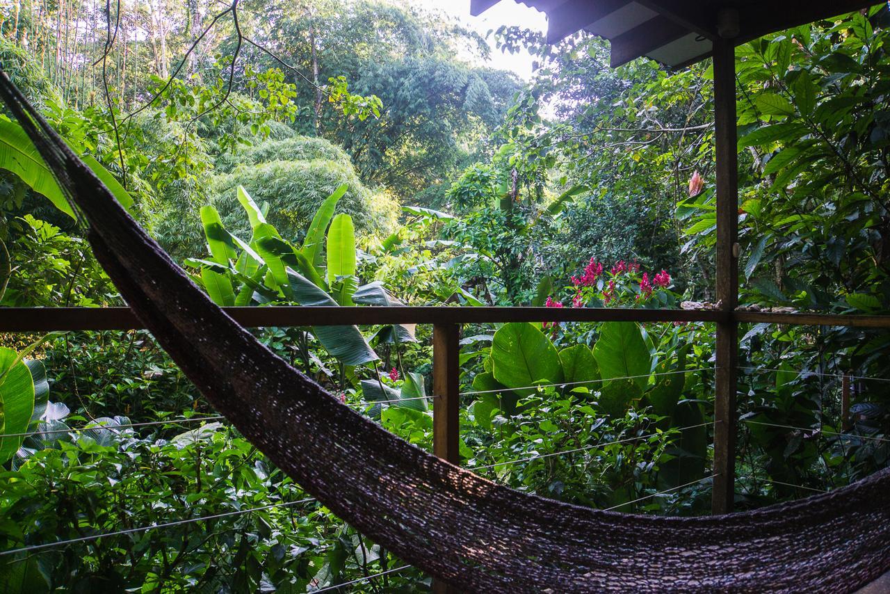El Tucan Jungle Lodge Puerto Viejo de Talamanca Kültér fotó