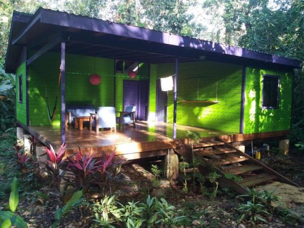 El Tucan Jungle Lodge Puerto Viejo de Talamanca Kültér fotó