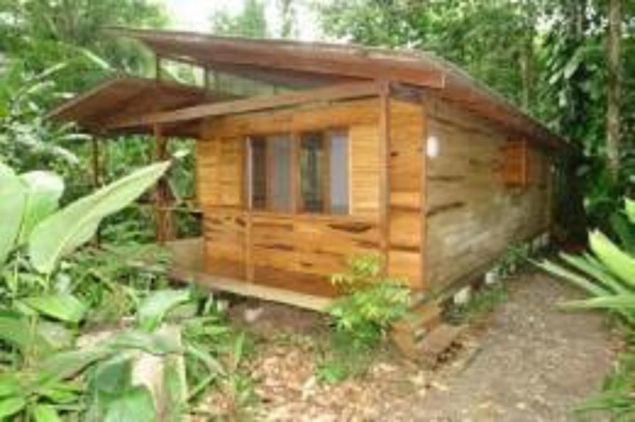 El Tucan Jungle Lodge Puerto Viejo de Talamanca Kültér fotó